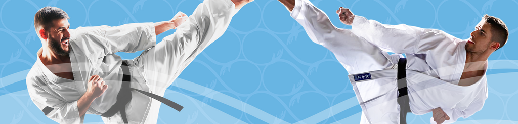 IvAlive Foundation and Association QUALIA expand the “Judo Bien-être” therapeutic project